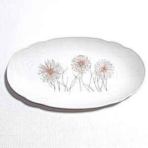 Seltmann Weiden Bavaria West Germany porcelain dish